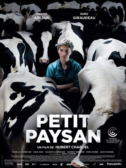 Affiche du film Petit Paysan