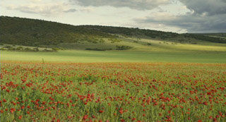 Tous au Larzac