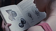avortementc04_1.png