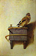 1Fabritius_Carel.jpg