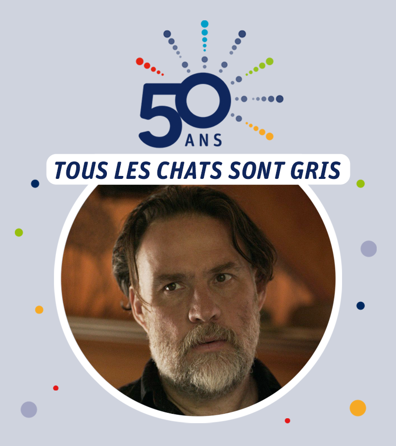 affiche du film Tous les chats sont gris