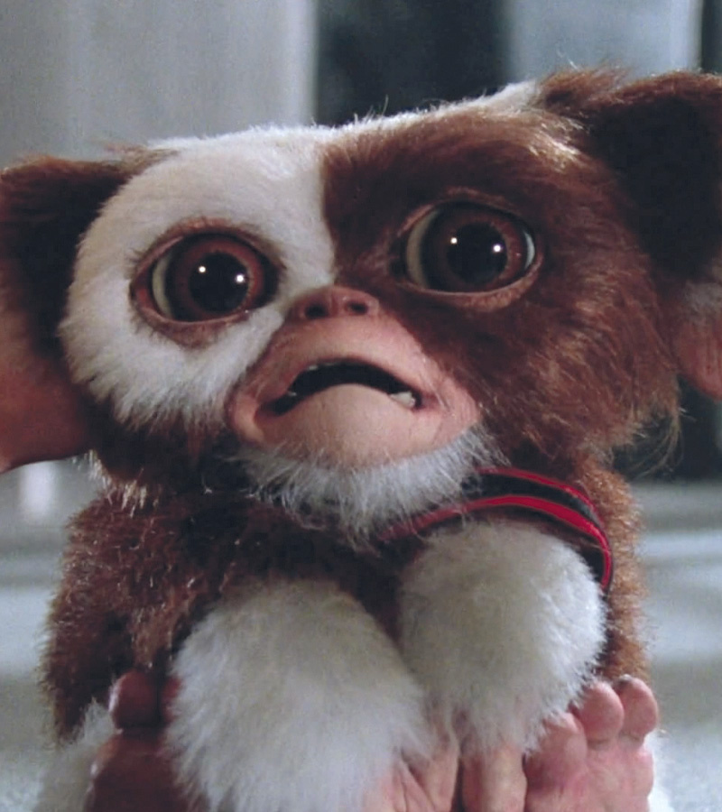 affiche du film Pirate Movie Club : Gremlins 2 VF