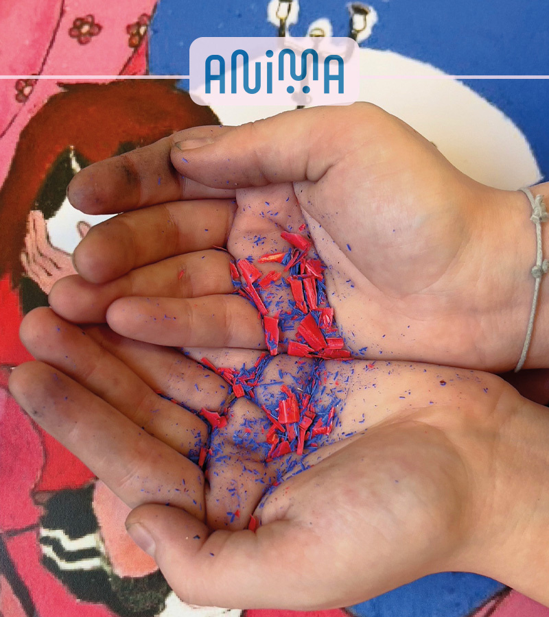 affiche du film expo Anima : travaux inspirés de l'univers d'Émilie Tronche