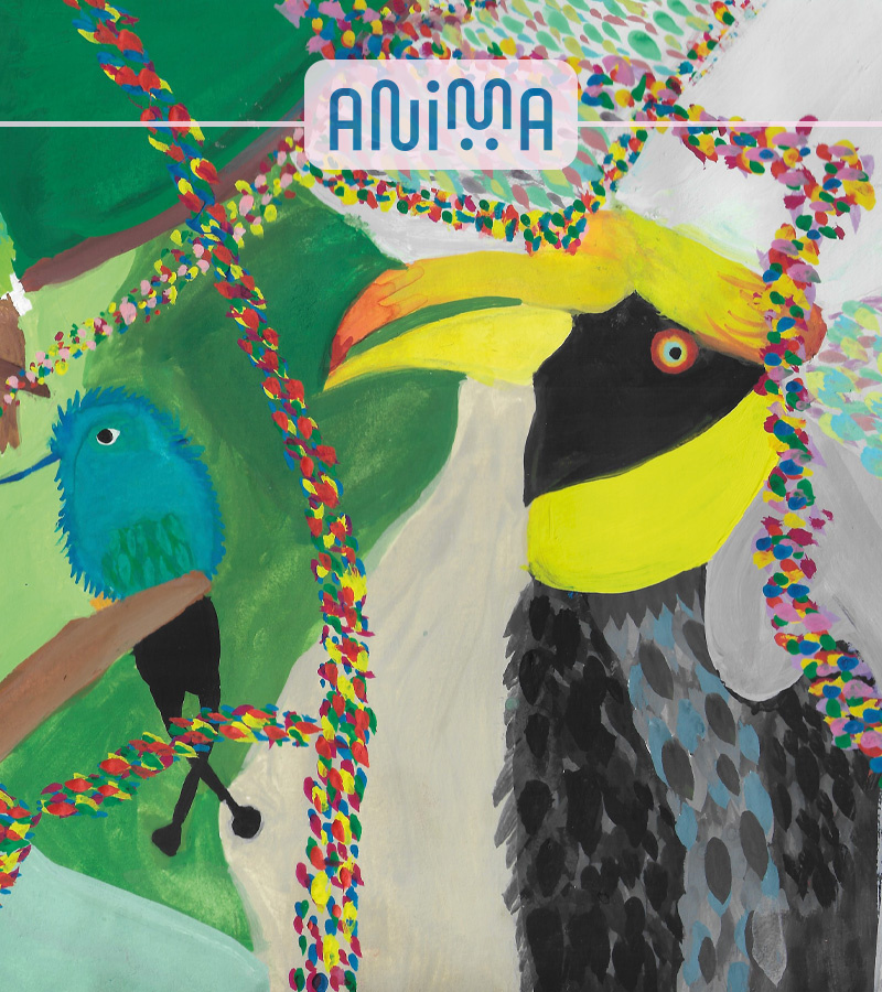 affiche du film expo Anima : travaux inspirés de l'univers d'Émilie Tronche ou d'affiches du festival