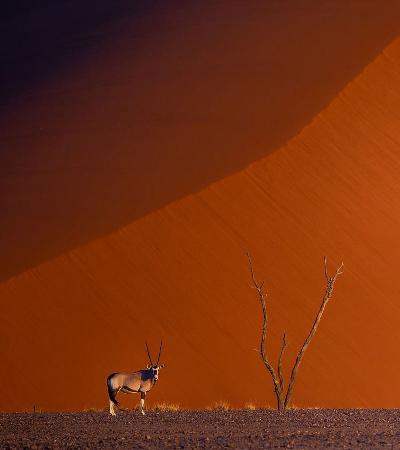 affiche du film Exploration du monde : Namibie