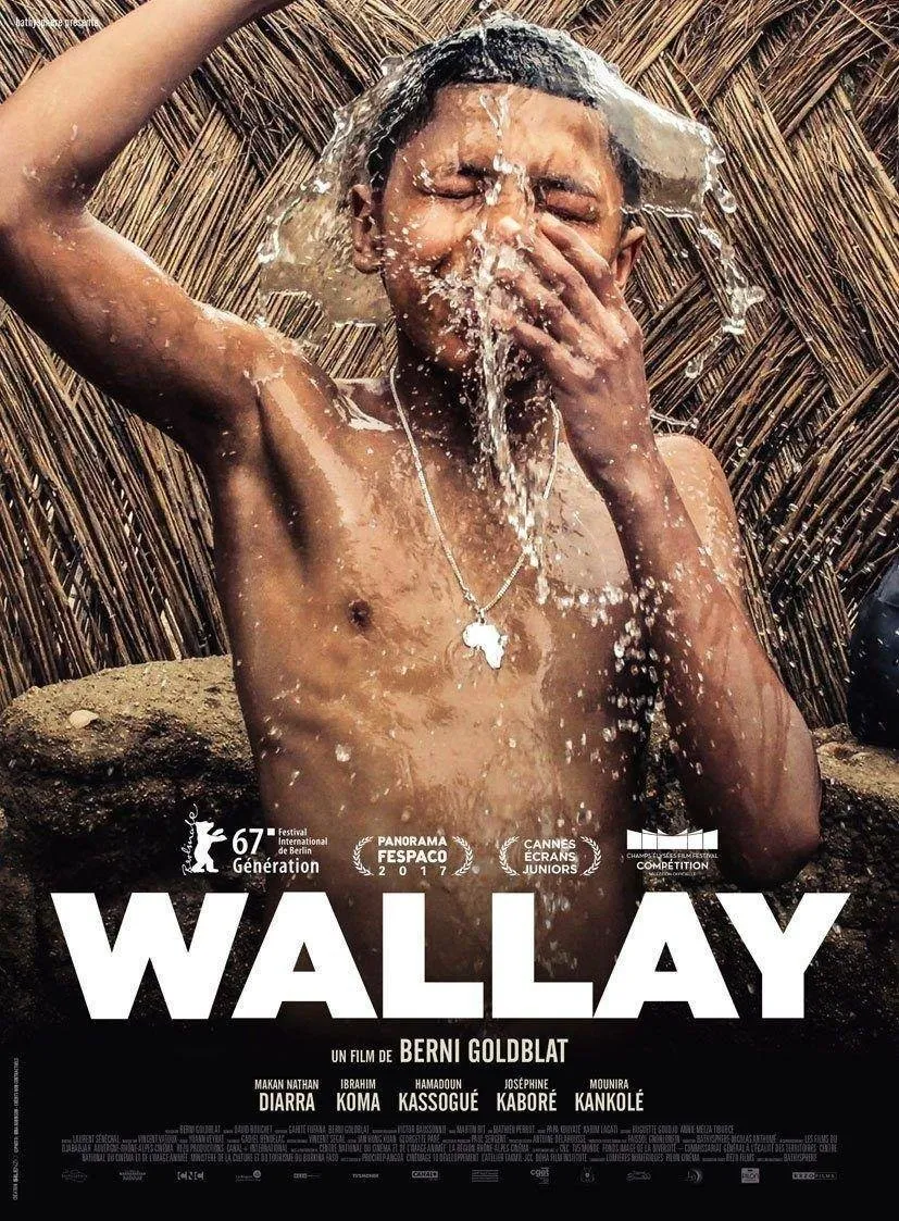 affiche du film Wallay