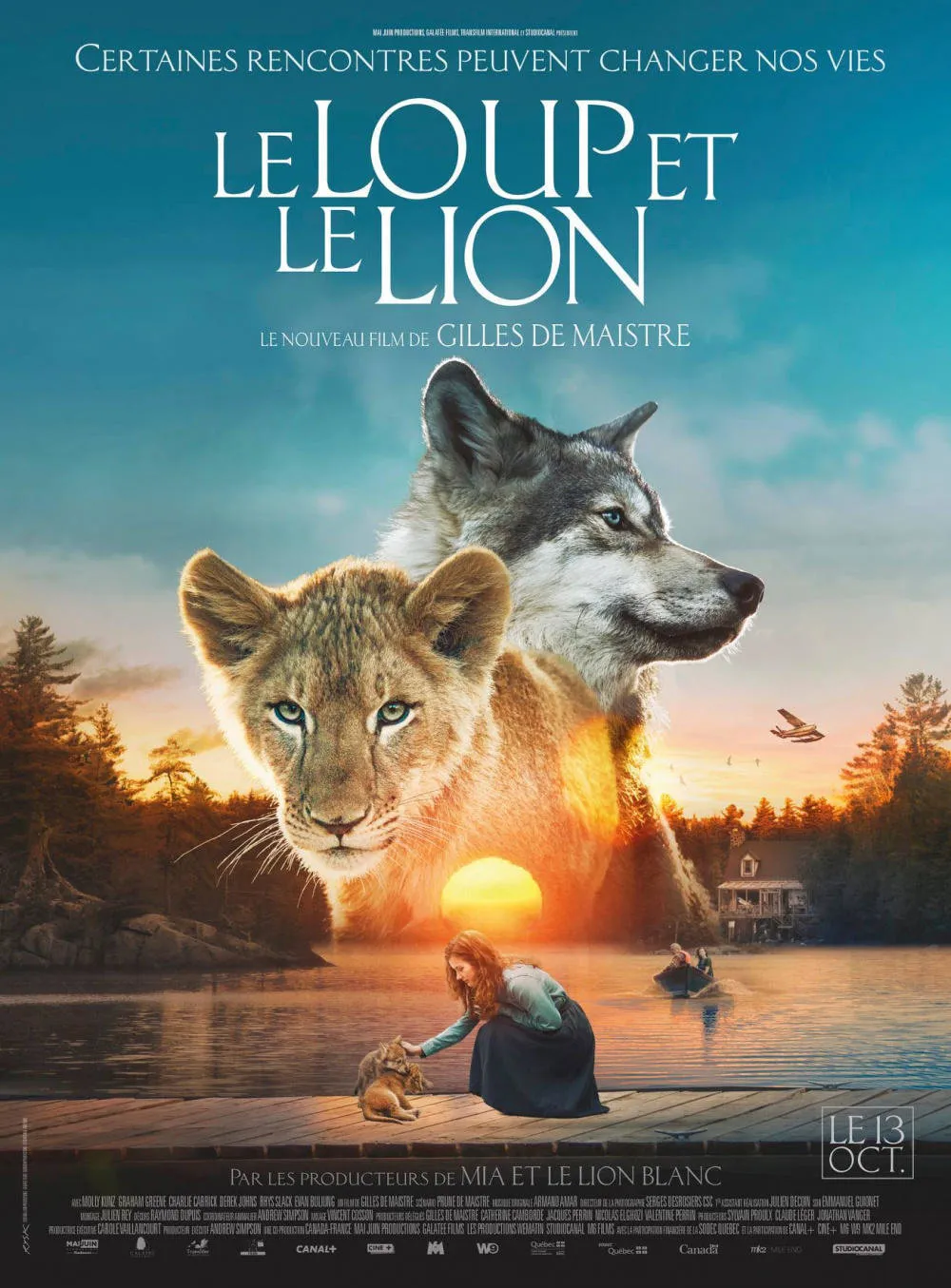 affiche du film Le Loup et le Lion