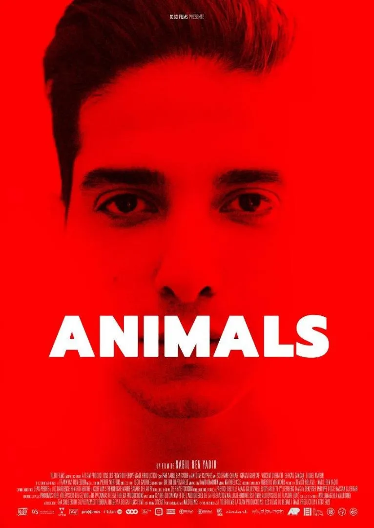 affiche du film Animals